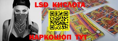 гашик Новокубанск