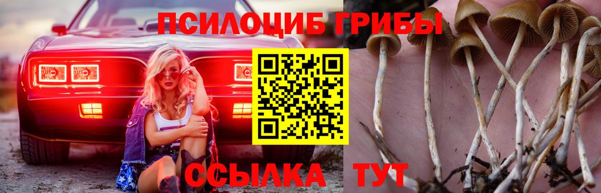 Евпатория  Галлюциногенные грибы Cubensis  Вход с VPN 